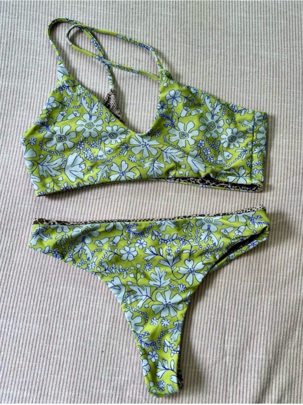 Acacia